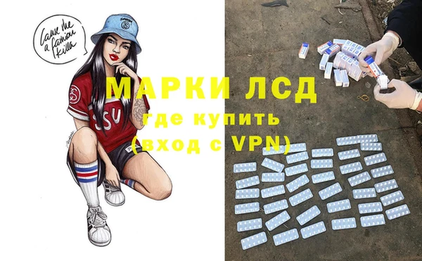 хмурый Осинники
