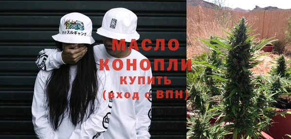 хмурый Осинники