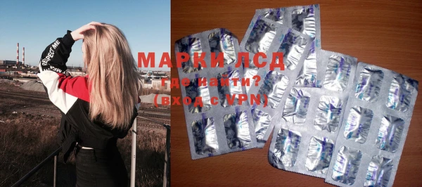 хмурый Осинники