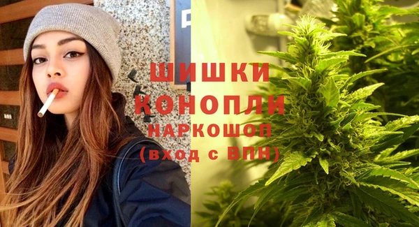 твердый Осташков