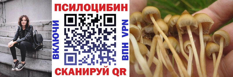 Псилоцибиновые грибы GOLDEN TEACHER Фокино