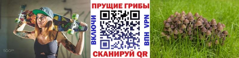 Галлюциногенные грибы MAGIC MUSHROOMS  Фокино 